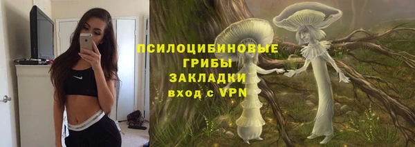mdpv Бородино