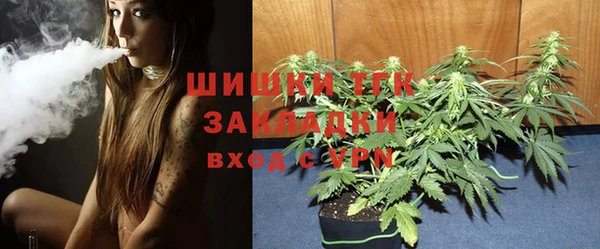 индика Бугульма