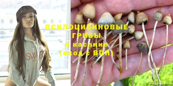 индика Бугульма