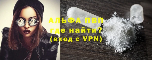 mdpv Бородино