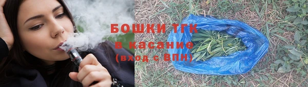 mdpv Бородино